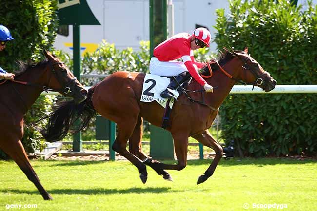 31/08/2019 - Chantilly - Prix d'Arenberg : Ankunft