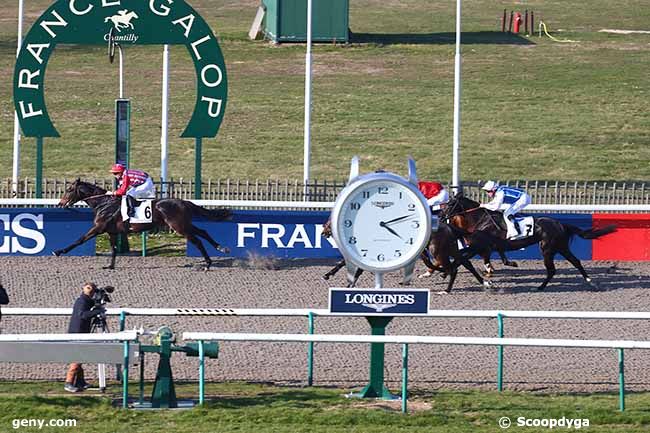 08/03/2022 - Chantilly - Prix Maurice Caillault : Arrivée