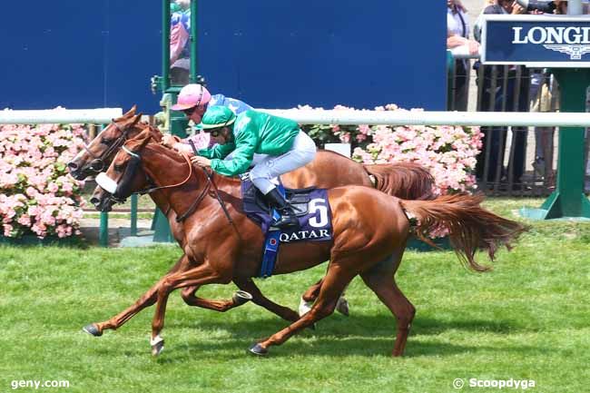 19/06/2022 - Chantilly - Qatar Derby des Pur-Sang Arabes de 4 ans : Arrivée