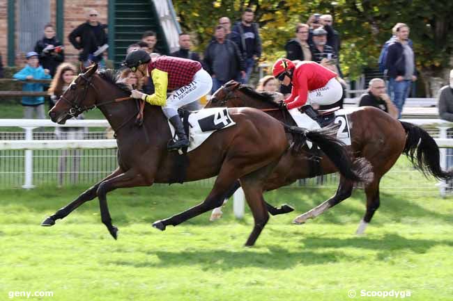 15/10/2022 - Fontainebleau - Prix des Charmilles : Arrivée