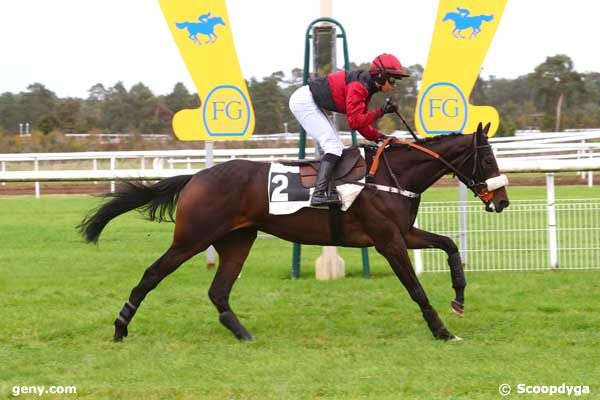 26/10/2023 - Fontainebleau - Prix Comte Antoine de Gontaut-Biron : Arrivée