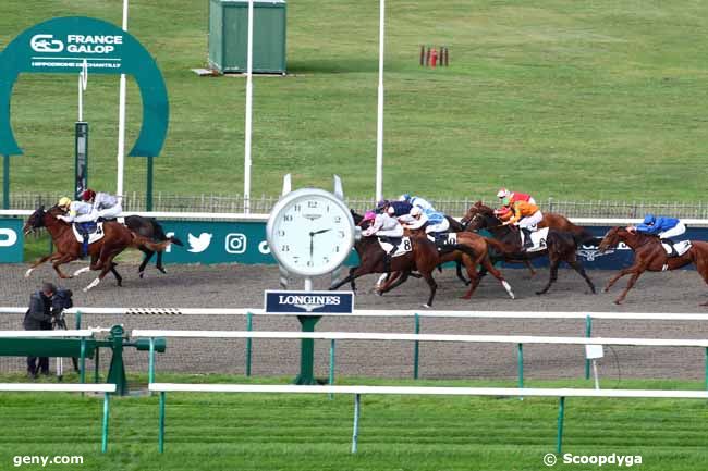 31/10/2023 - Chantilly - Prix de la Voie du Garde : Arrivée