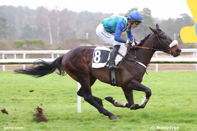 26/02/2024 - Fontainebleau - Prix des Heronnières : Arrivée