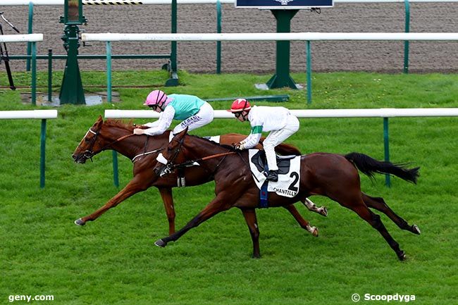 17/10/2024 - Chantilly - Prix de Saussay : Arrivée