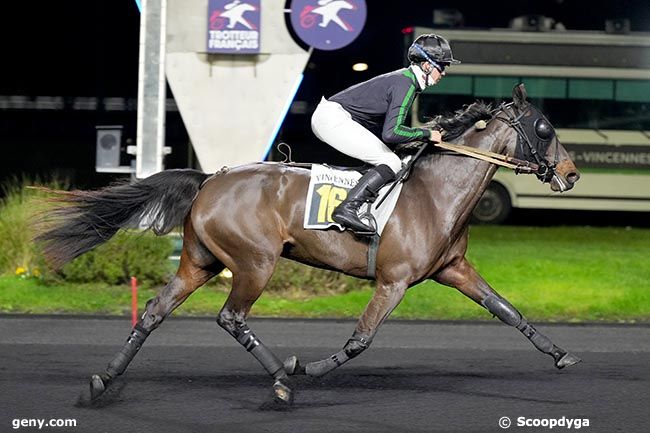 12/12/2024 - Vincennes - Prix du Grand Fougeray : Arrivée