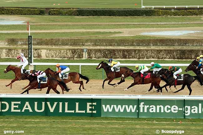 27/12/2010 - Deauville - Prix du Mont Saint-Michel : Ankunft