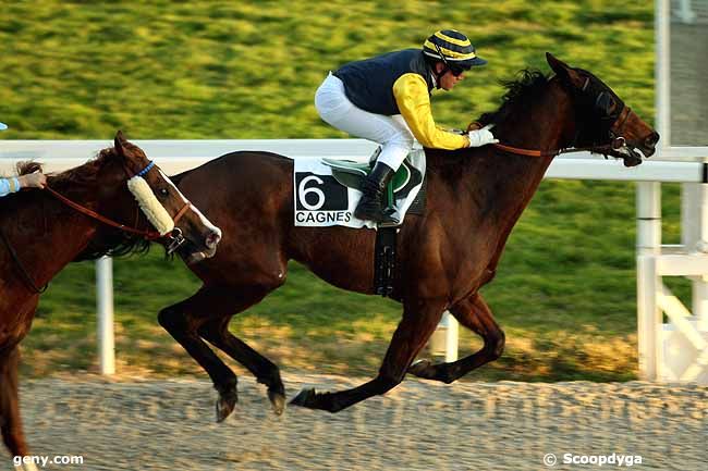 20/01/2012 - Cagnes-sur-Mer - Prix du Vieux Port : Arrivée