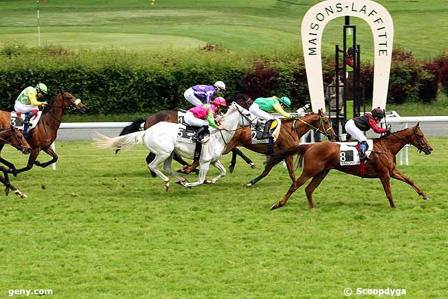 31/05/2013 - Maisons-Laffitte - Prix du Mesnil-Villement : Ankunft