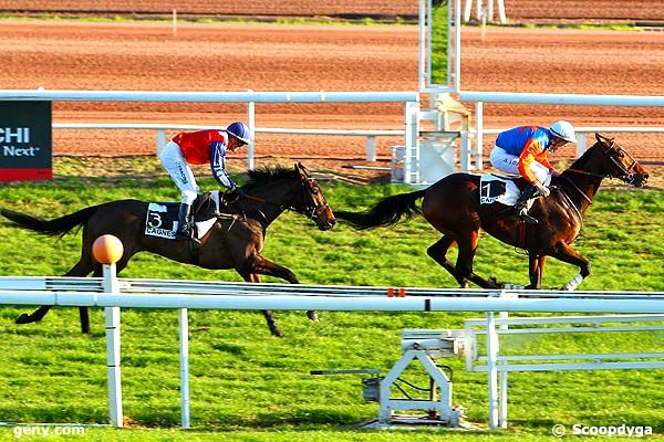 24/12/2014 - Cagnes-sur-Mer - Prix Goodea : Arrivée