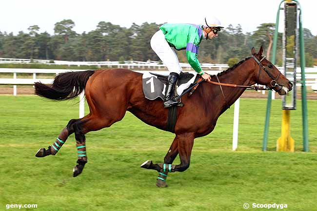 20/10/2015 - Fontainebleau - Prix du Centre Sportif d'Equitation Militaire : Ankunft