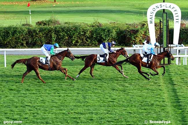 28/10/2015 - Maisons-Laffitte - Prix de la Hume : Arrivée