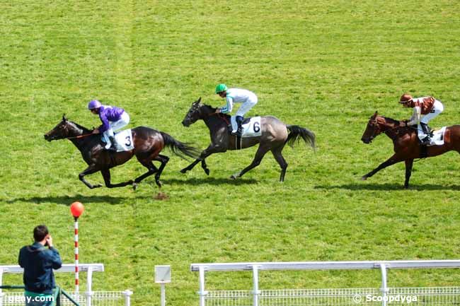 07/05/2016 - Maisons-Laffitte - Prix du Vésinet : Arrivée