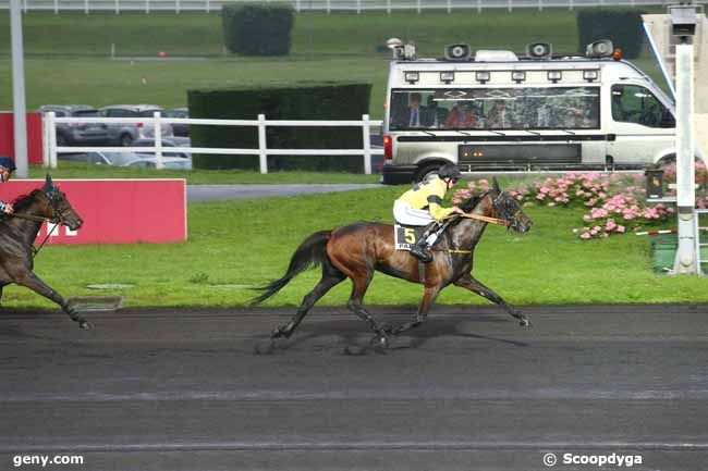 31/05/2016 - Vincennes - Prix Victor Cavey : Arrivée