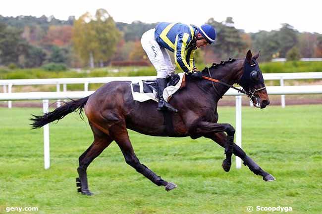 10/11/2016 - Fontainebleau - Prix Colonel Beaujean : Result