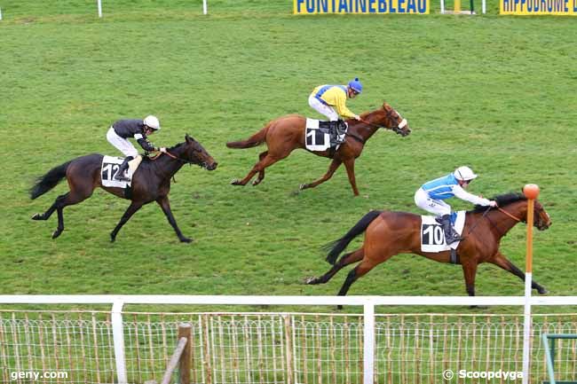 09/03/2017 - Fontainebleau - Prix du Haras de Montgermont : Arrivée