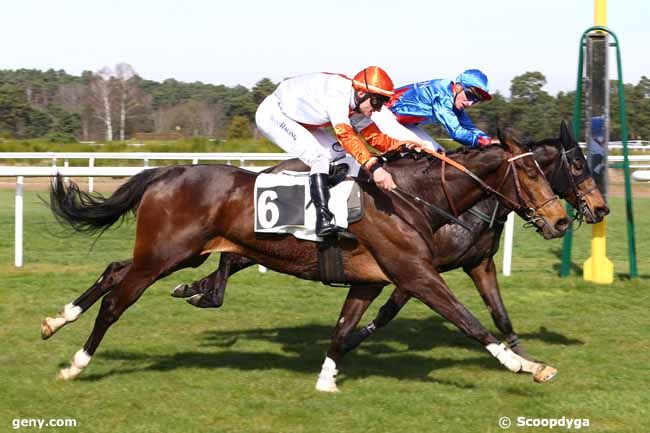 14/03/2017 - Fontainebleau - Prix de Sermaise : Arrivée